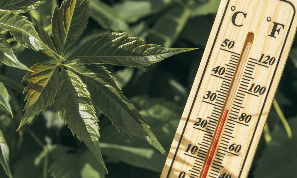 How to Control Heat in Your Grow Room or Tent