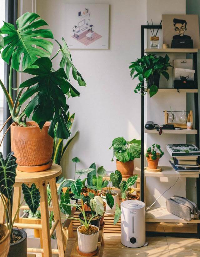 drainage indoor plants Joe Metal Pot With Drainage Hole