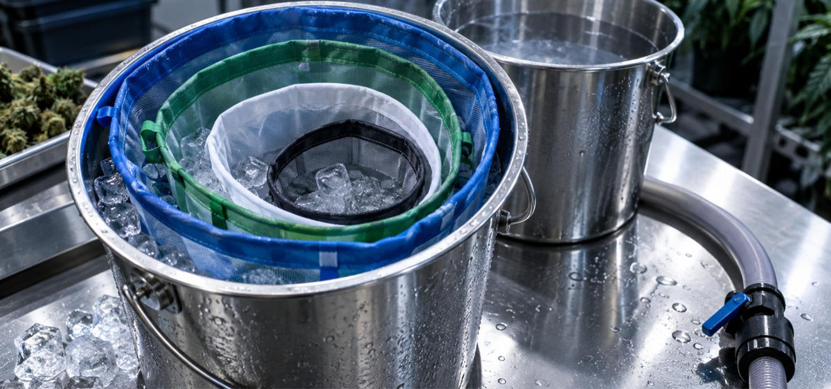 Color coded micron bubble bags nested inside a stainless bucket of ice water on a stainless bench, set up for bubble hash ice water extraction