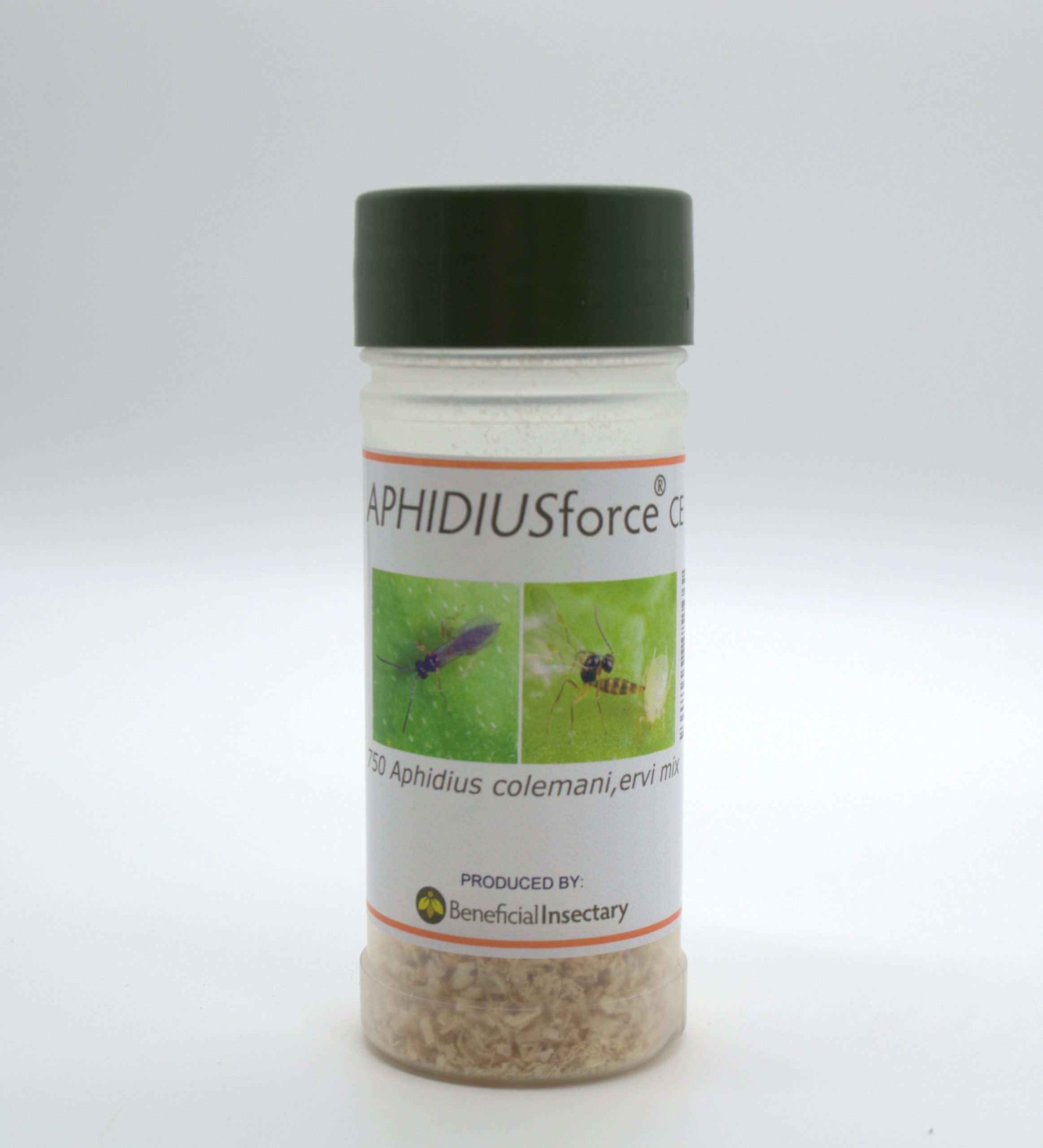 Aphidius colemani, Ervi Mix – Powerful Aphid Control Solution