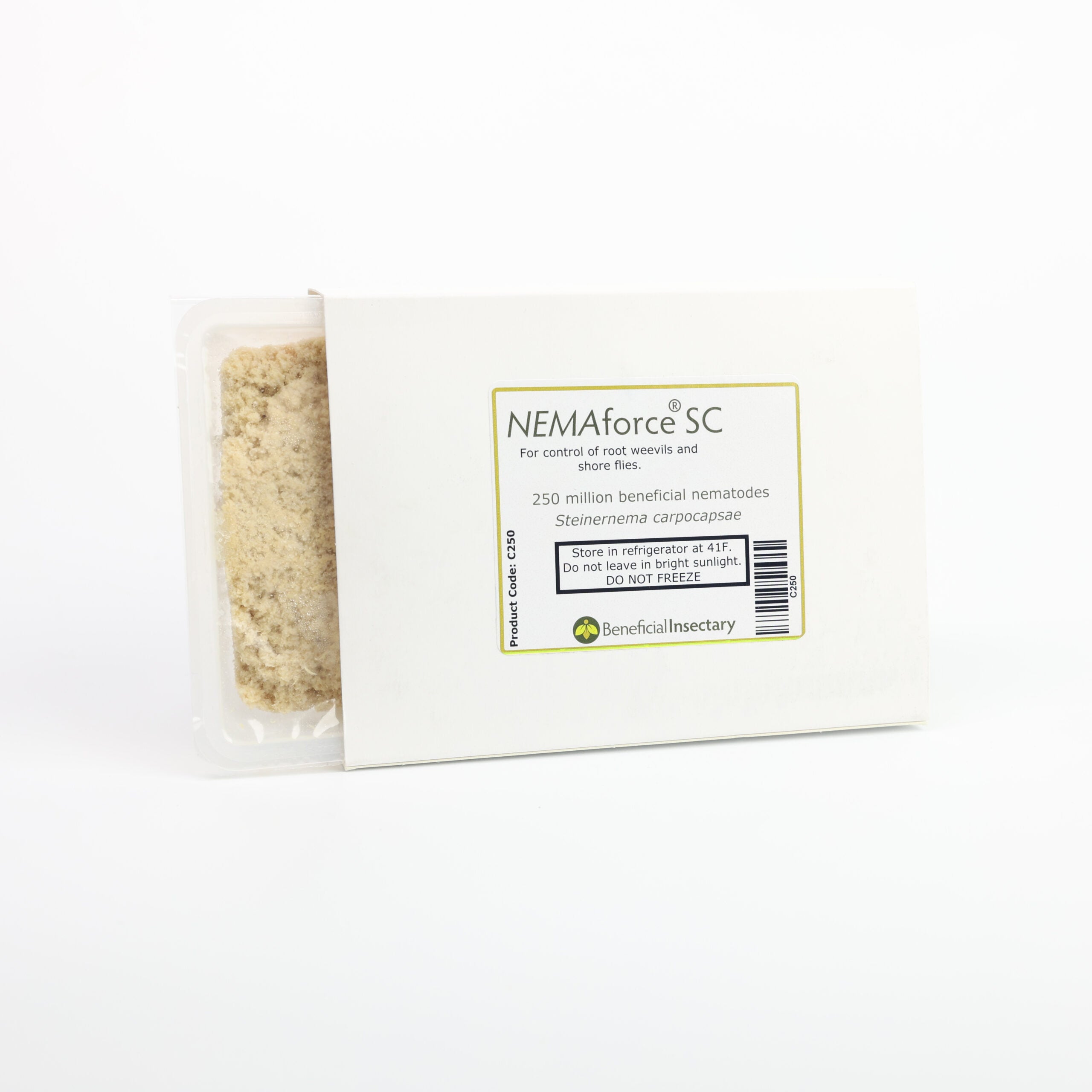 Steinernema carpocapsae – Beneficial Nematodes for Cutworms, Armyworms & Soil Pests