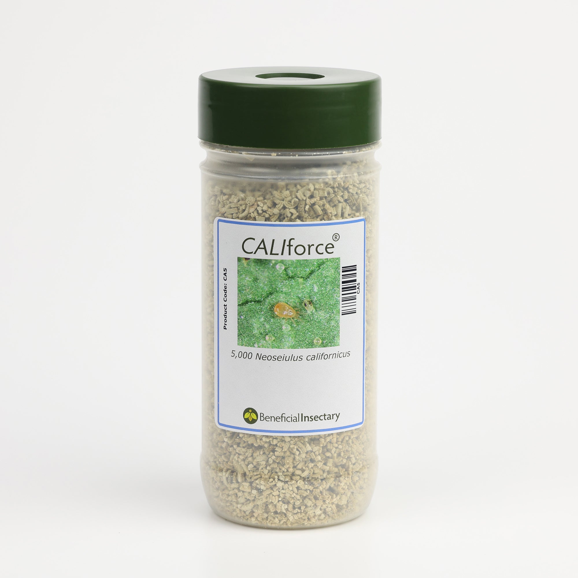 Neoseiulus californicus – Versatile Mite Predator for Spider, Broad & Russet Mites