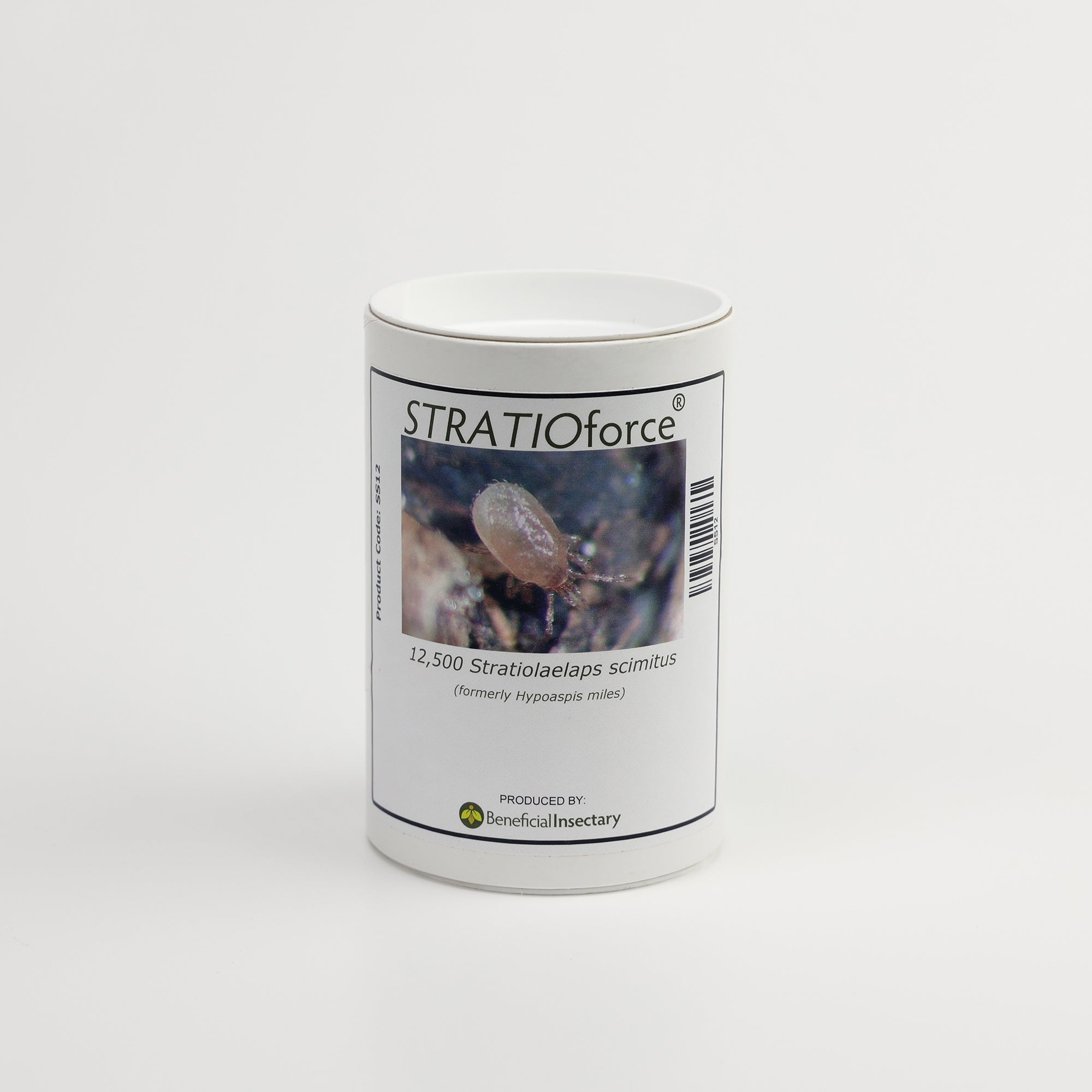 Stratiolaelaps scimitus (formerly Hypoaspis miles) – Soil Mite Predator for Fungus Gnats and Thrips Pupae