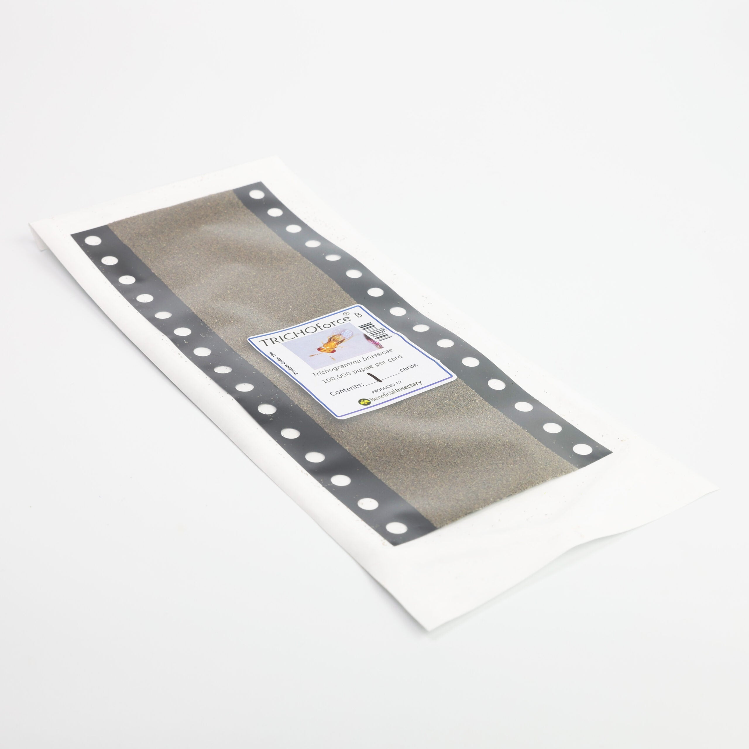 Trichogramma brassicae – Egg Parasitoid Wasp for Caterpillar & Borer Control