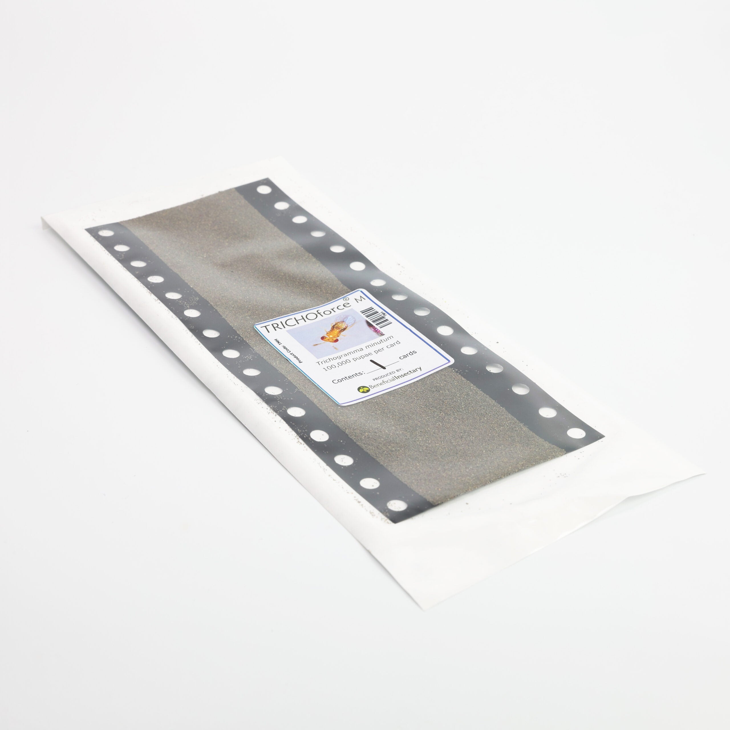 Trichogramma minutum – Egg Parasitoid Wasp for Caterpillar & Borer Control