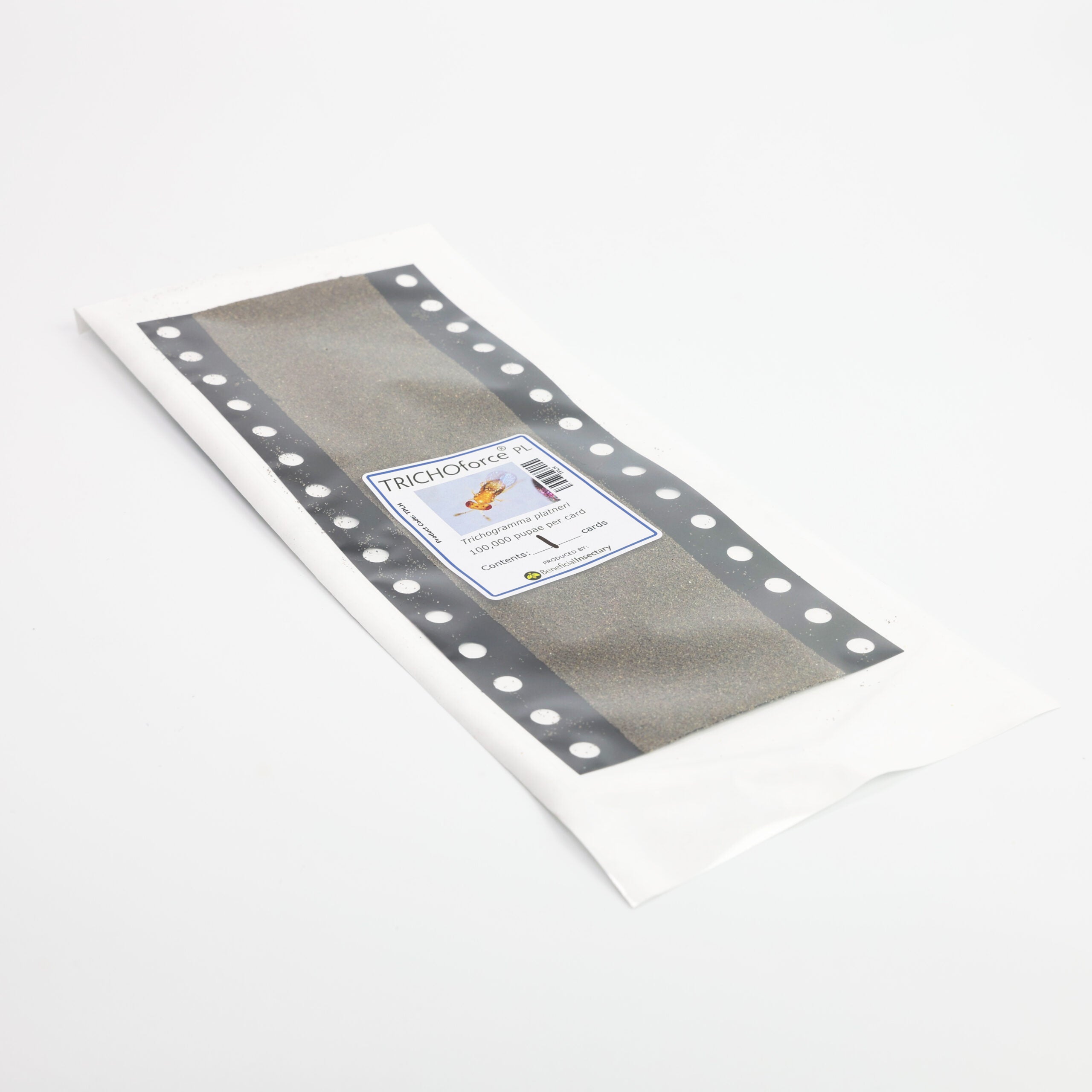 Trichogramma platneri – Egg Parasitoid for Caterpillar & Borer Control (Western U.S.)