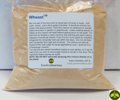 Wheast™ – Food for Green Lacewing Adults to Boost Biological Control