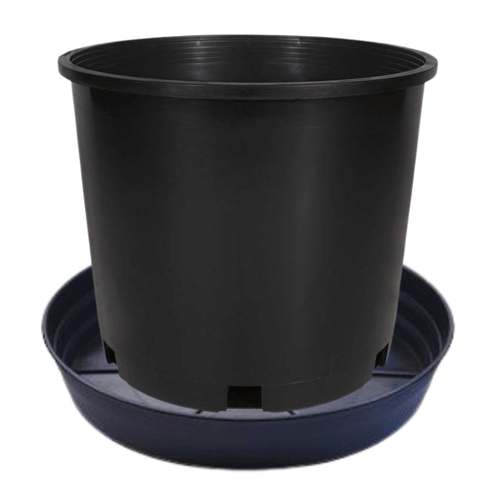 squat plastic plant pots 5-Gallon Pots & Saucers Premium Black Squat Injection Nursery Pots 5-Pack
