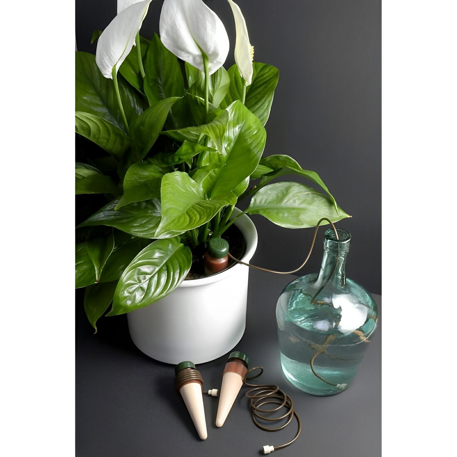 Blumat Classic Plant Watering Stakes, XL, 2 Pack - Blumat - Happy Hydro