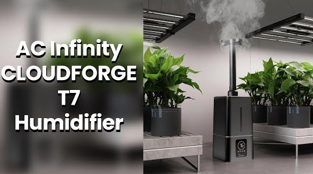 AC Infinity Cloudforge T7 Gen 2 Humidifier