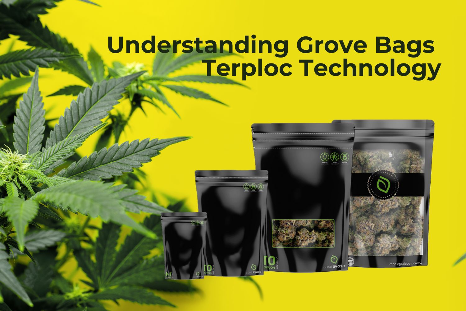 Understanding Grove Bags Terploc Technology