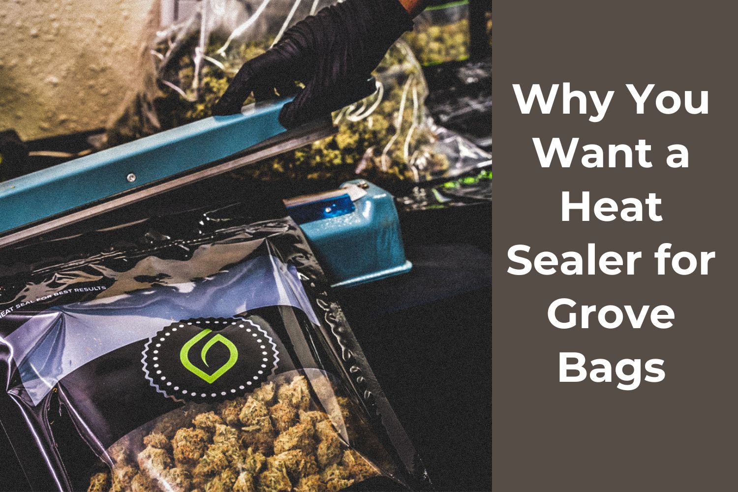 Why You Want a Heat Sealer for Grove Bags