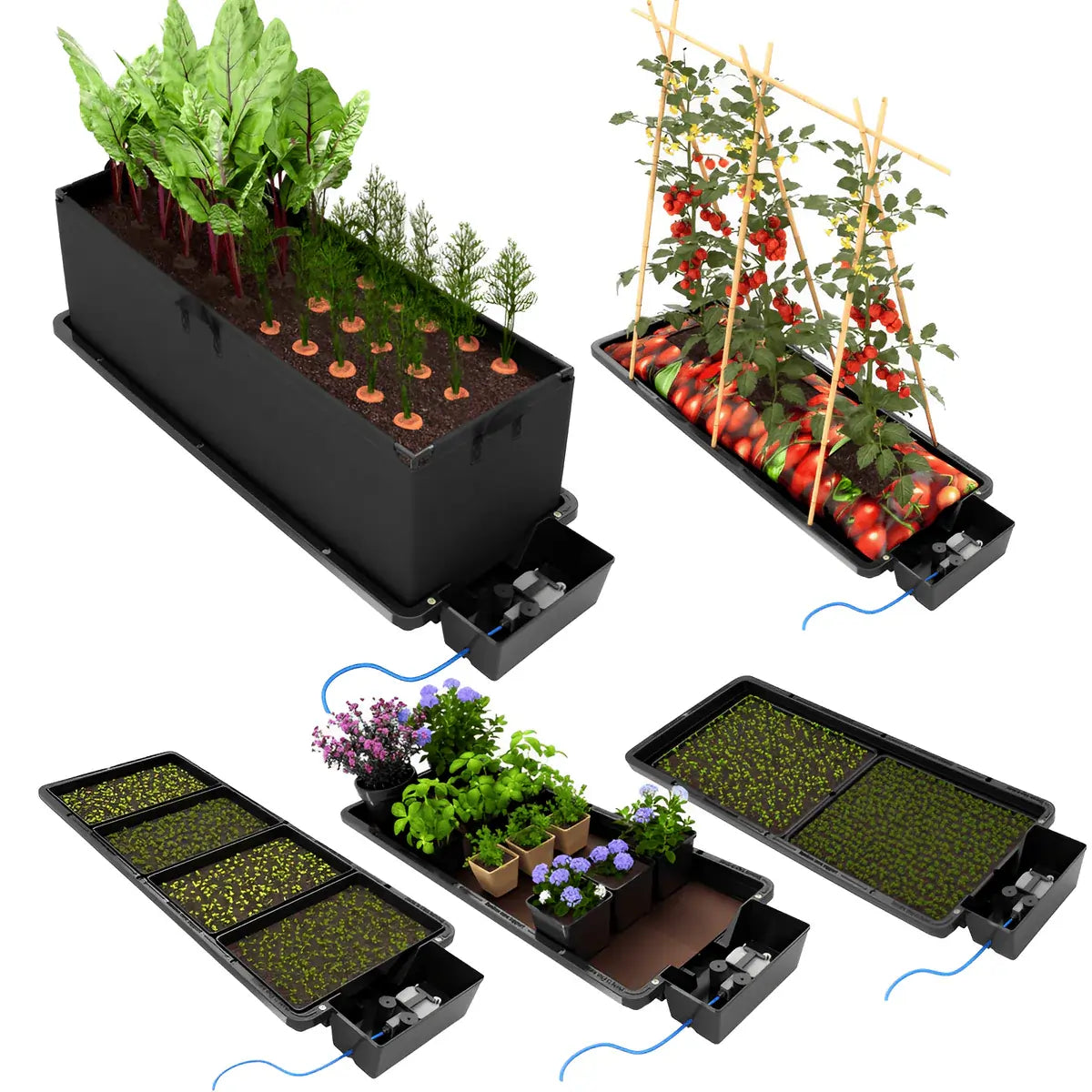 AutoPot Tray2Grow black plastic irrigation trays, showcasing various setups for self-watering plants, herbs, and seedlings.