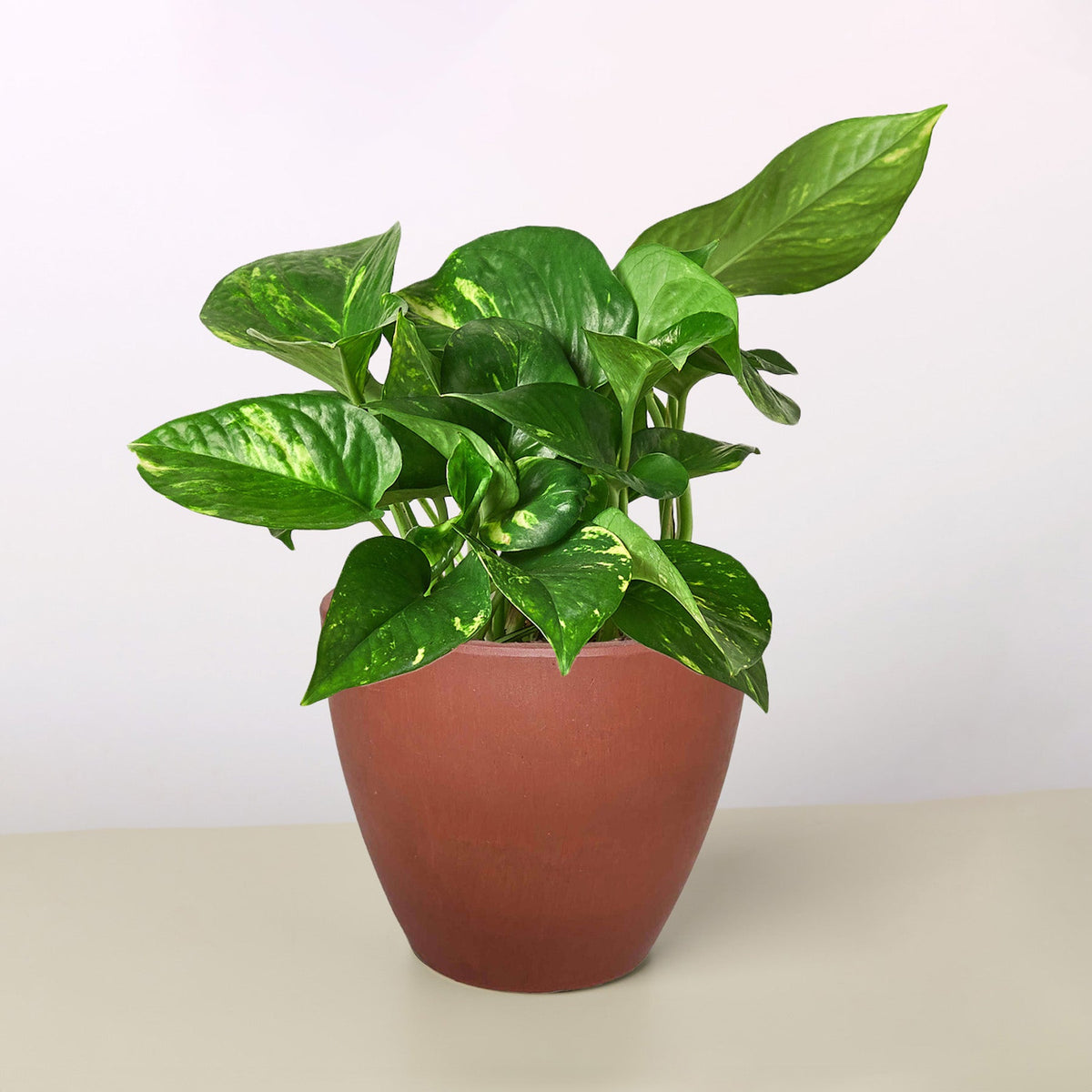 13
