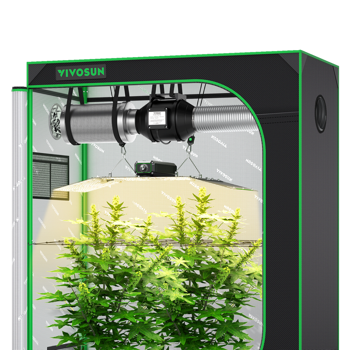 Grow tent with black exterior, green trim, silver interior, hanging ventilation system, light, and plants.