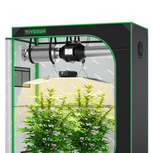Grow tent with black exterior, green trim, silver interior, hanging ventilation system, light, and plants.