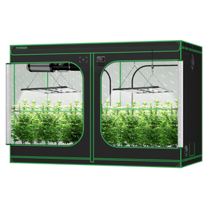 Black and green VIVOSUN grow tent with two sections, hanging LED lights, and healthy green plants inside.