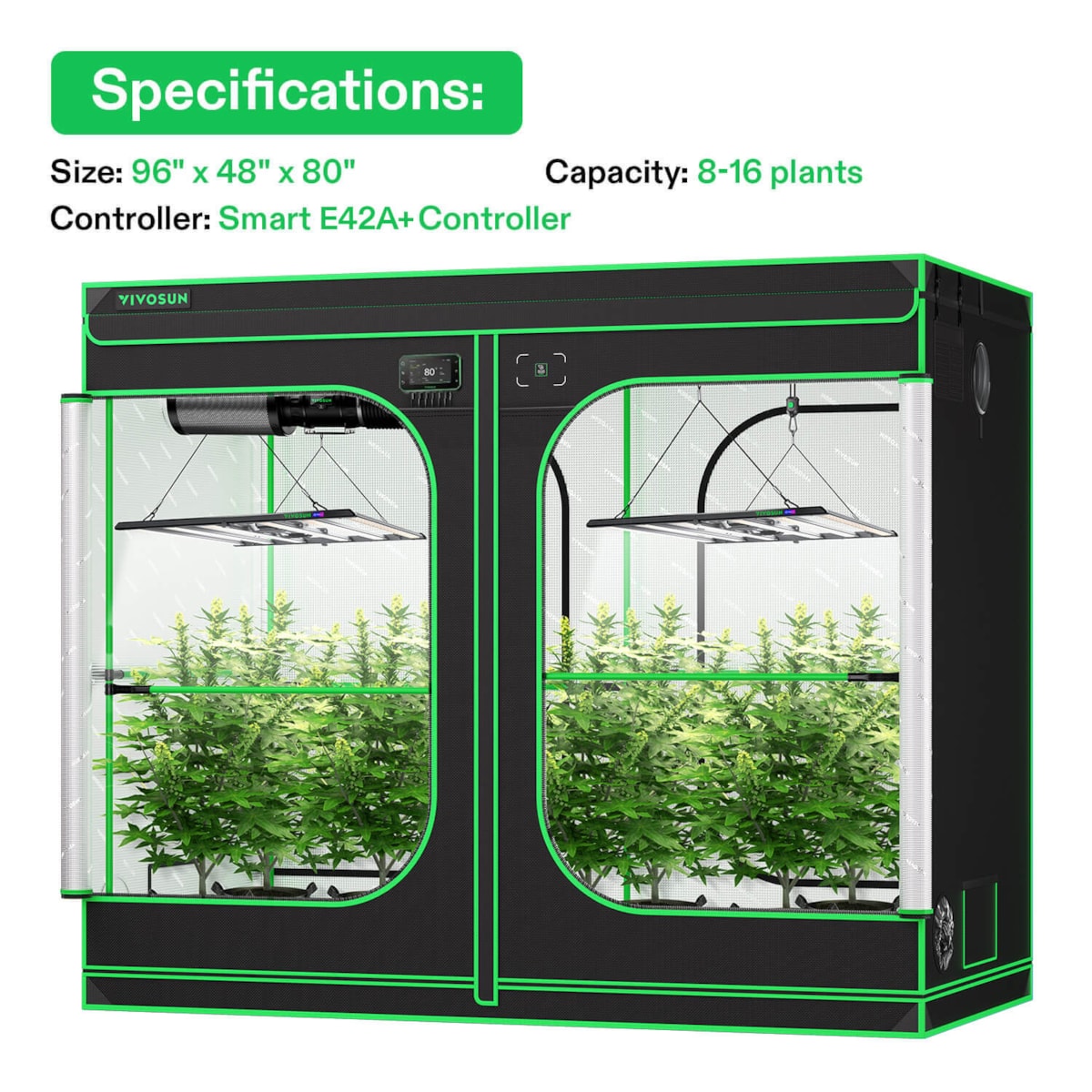 Black and green grow tent containing two rooms with potted green plants, hanging LED lights, and ventilation equipment.