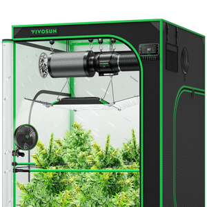 Black and green grow tent containing a ventilation system, LED light, clip-on fan, and flowering plants.