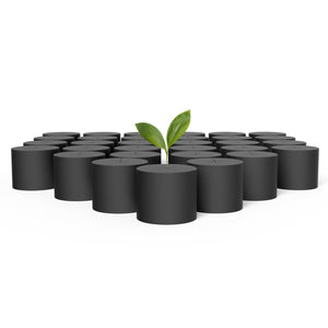 A 50-pack of black, 3-inch foam clone collars with 8-spoke slits for hydroponic plant cloning; one holds a small sprout.