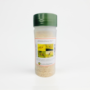 Aphidius colemani ervi matricariae Aphelinus mix – natural aphid control solution by Beneficial Insectary
