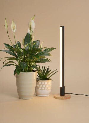 Grove™ Grow Light with Alta™ Vertical Stand Set