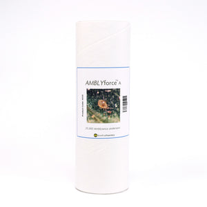 White cardboard tube of Amblyseius andersoni predatory mites used for natural pest control in gardens.