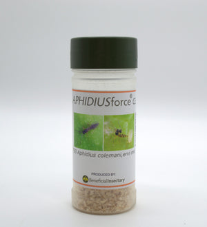 Clear plastic shaker bottle containing Aphidius colemani and ervi mix for biological aphid control in gardens.