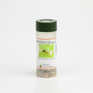 A clear plastic shaker bottle with a green lid containing Aphidius colemani wasps for natural aphid pest control.