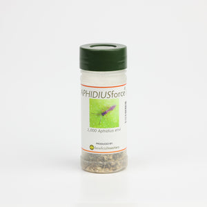 A clear plastic bottle with a green cap containing Aphidius ervi parasitic wasps for aphid pest control.