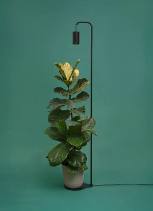 Aspect™ Grow Light with Stello™ Pendant Stand Set