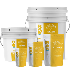 RAW B-Vitamin | 1% Vitamin B1 + 9% Magnesium | Water-Soluble Plant Supplement