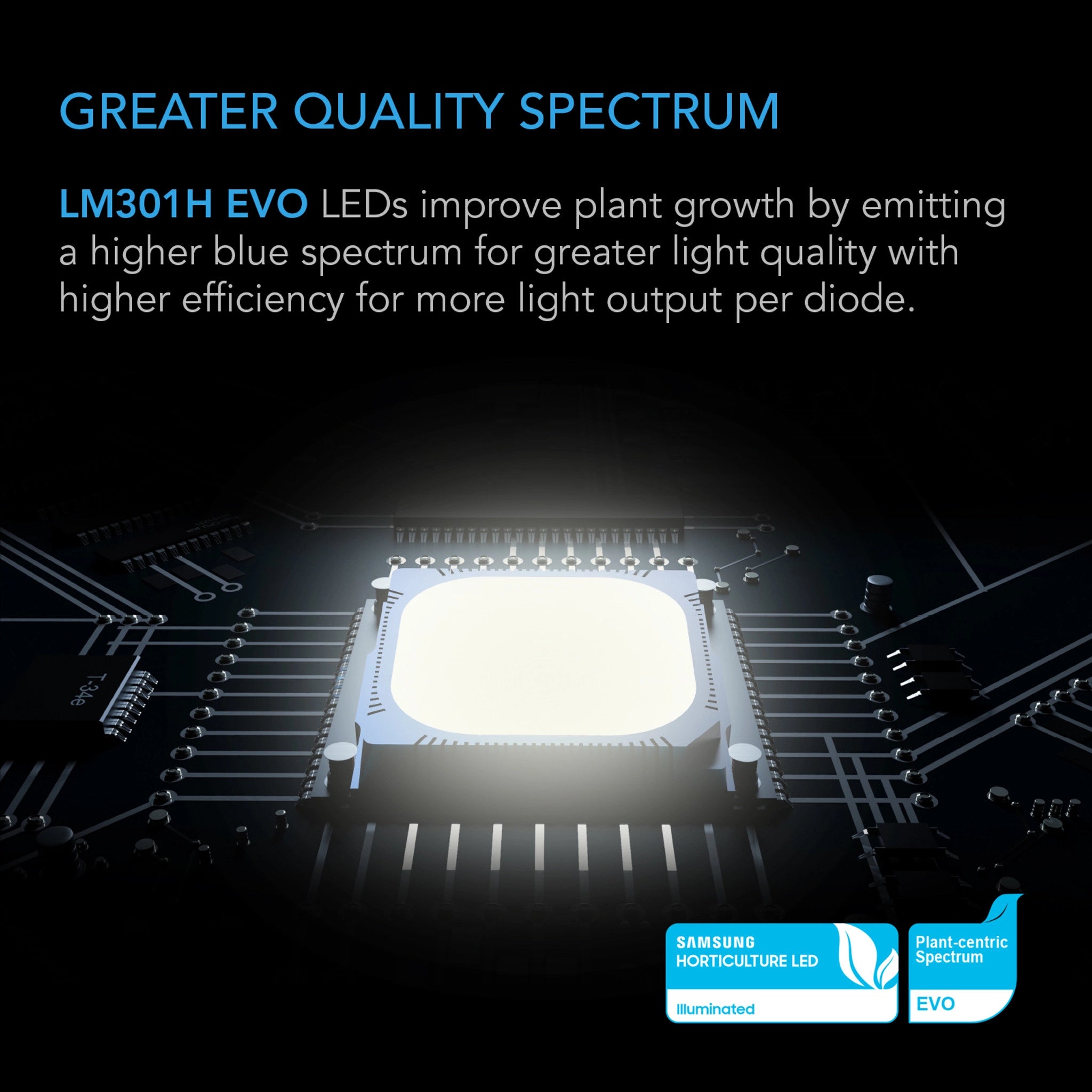 A bright, square Samsung LM301H EVO LED diode glowing on a dark circuit board, highlighting efficient grow light technology.