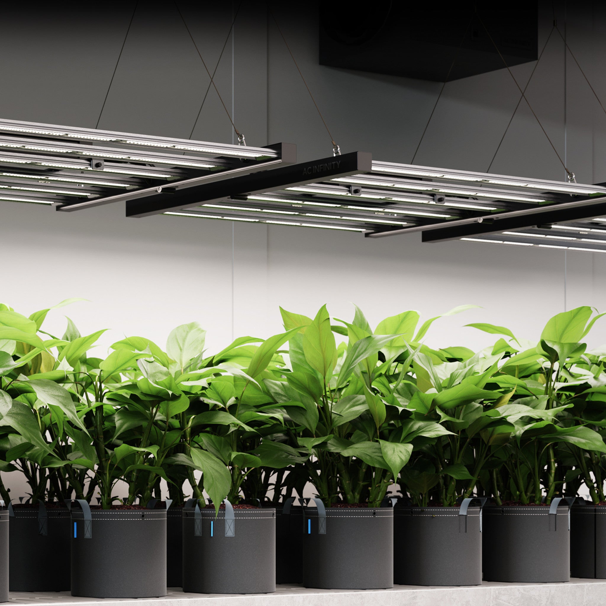 5x5 Beginner Grow Tent Kit with AC Infinity IONFRAME EVO8 LED