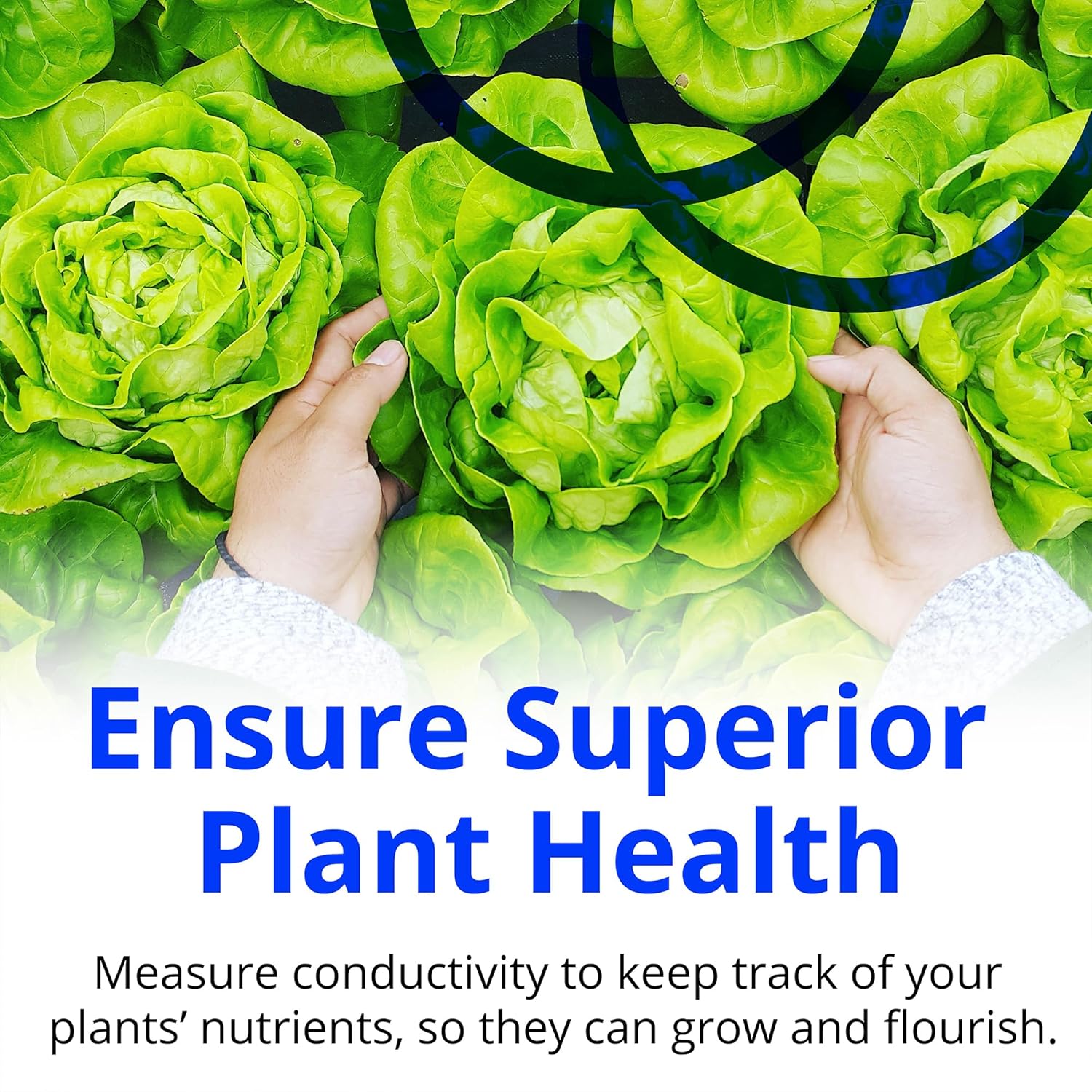 Bluelab Truncheon V2 Nutrient Meter