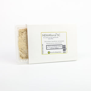 Steinernema carpocapsae – Beneficial Nematodes for Cutworms, Armyworms &amp; Soil Pests