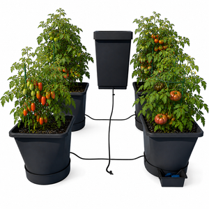 Autopot 4 Pot Self Watering Systems