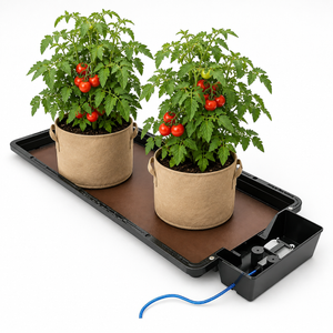 Two tan fabric grow bags with tomato plants sitting on a black watering tray.