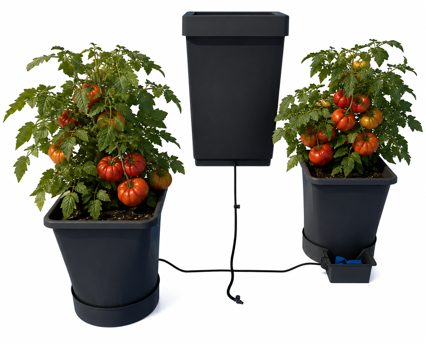 AutoPot XL Systems, 1-100 Pots, 6.6 Gallon