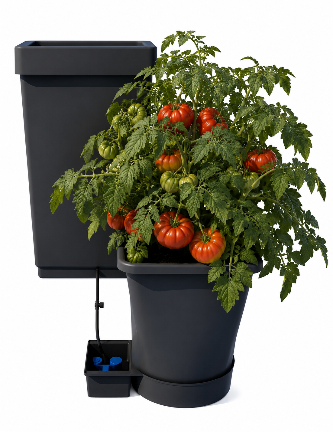 AutoPot XL Systems, 1-100 Pots, 6.6 Gallon