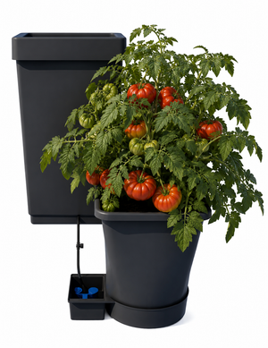 AutoPot XL Systems, 1-100 Pots, 6.6 Gallon