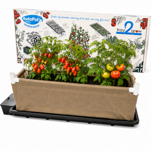 AutoPot Tray2Grow with Grassroots Bed Living Soil System w/ Trellis Fittings