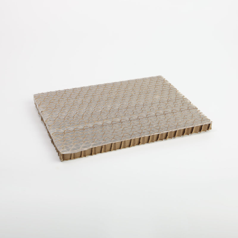 Chrysoperla rufilabris green lacewing eggs on a hexcell card