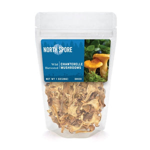 A clear plastic pouch of North Spore dried wild chanterelle mushrooms, labeled with forest imagery and a 1 oz net weight.