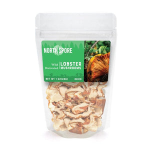 A clear plastic bag of North Spore dried wild lobster mushrooms with a green label showing a fresh mushroom photo.