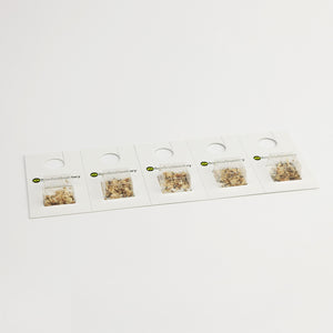 Encarsia formosa blister pack – natural whitefly control solution for greenhouses and indoor crops