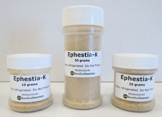 Ephestia Eggs for Beneficial Insect Support in 10 grams, 50 grams, and 25 grams