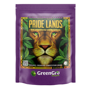 Pride Lands Bloom