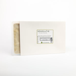A white sleeve housing a tray of tan beneficial nematodes, used to control grubs and soil insects.