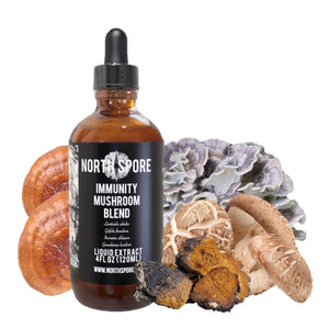Amber dropper bottle of North Spore Immunity Mushroom Blend tincture surrounded by various raw mushrooms.